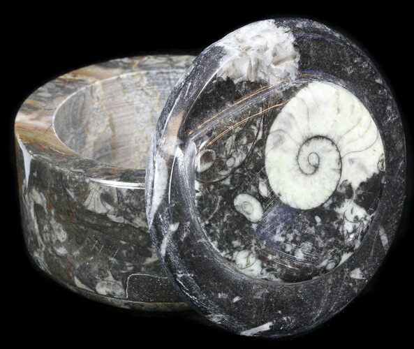 Small Fossil Goniatite Jar (Black) - Stoneware #38005